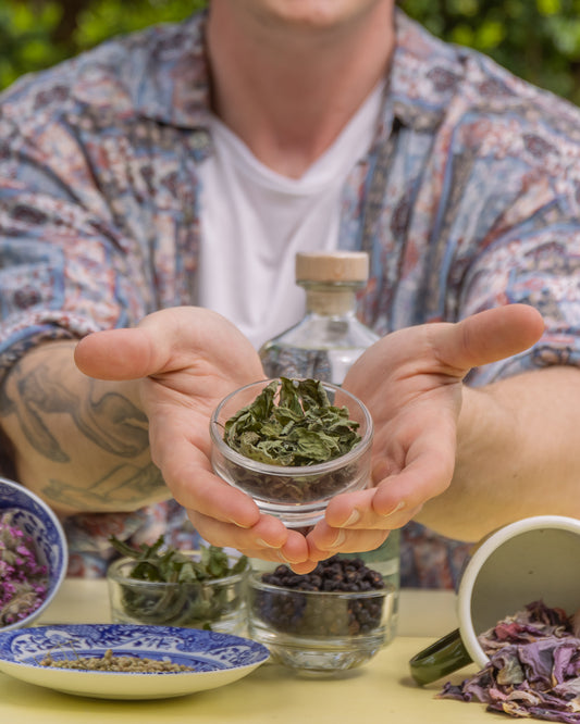 What’s In Gin? A Gin Botanicals Guide